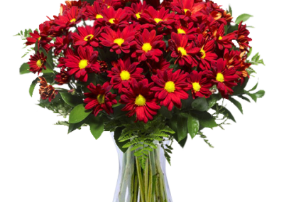 Mazzo Crisantemi Rossi e Gialli